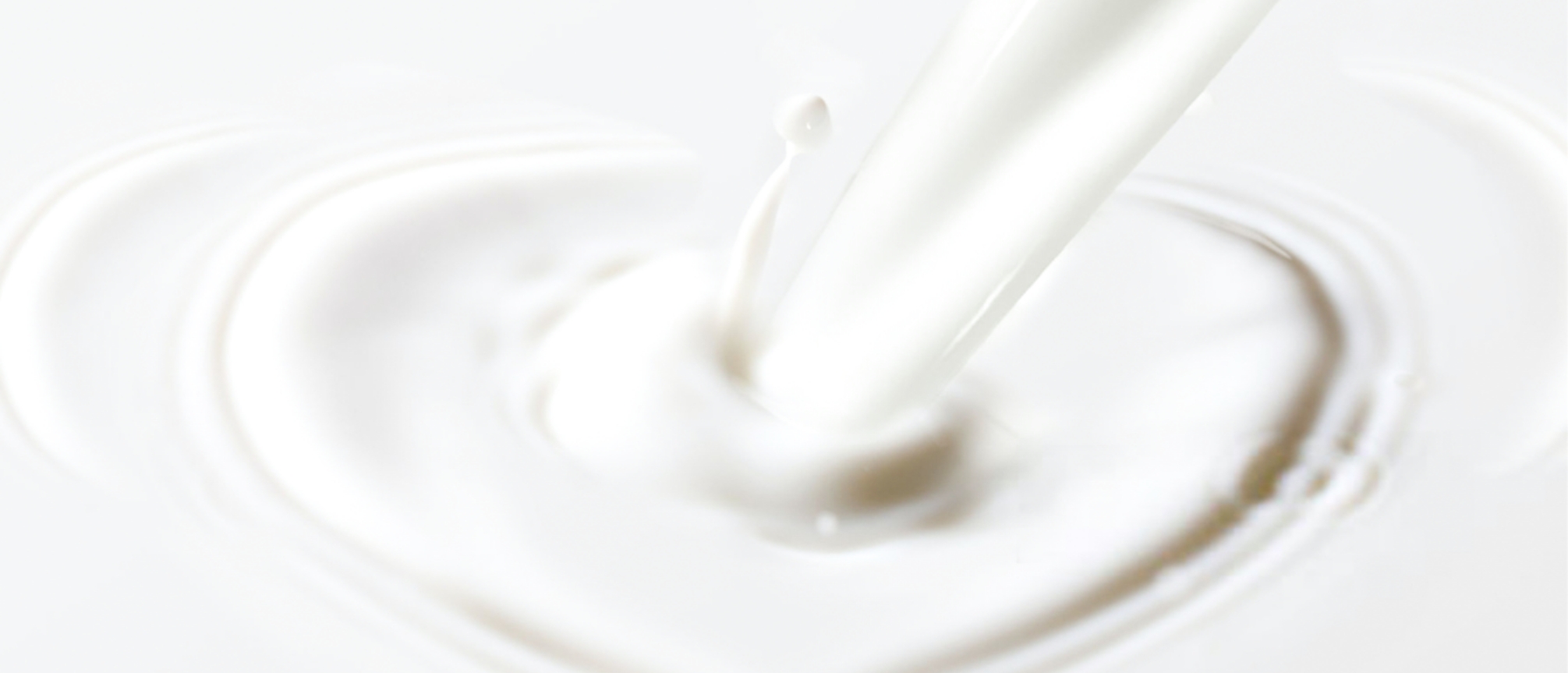 bauer gruppe unternehmen privatmolkerei bauer header