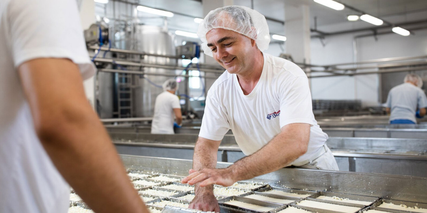 bauer gruppe unternehmen privatmolkerei bauer