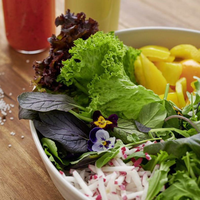 bauer gruppe unternehmen frikoni produkt