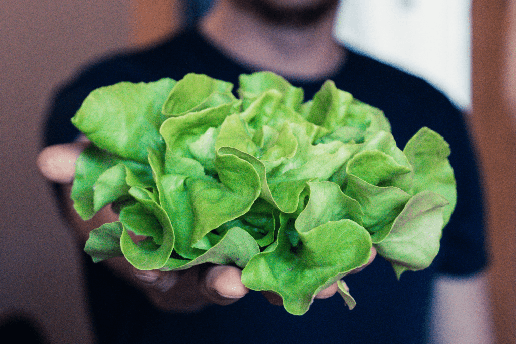 bauer gruppe unternehmen frikoni slider