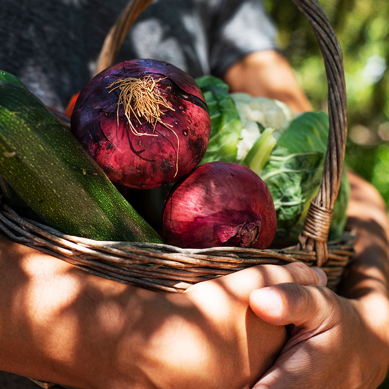 bauer gruppe soziales engagement lebensmittel retten