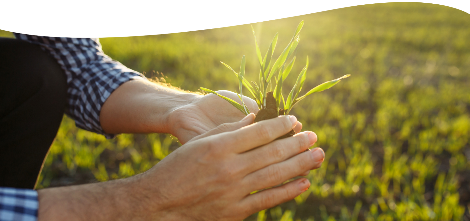 bauer gruppe nachhaltigkeit