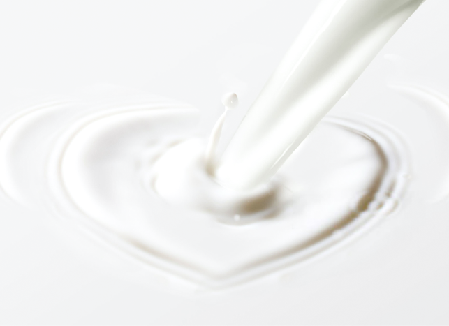 BA 0105 Web Kacheln Milch